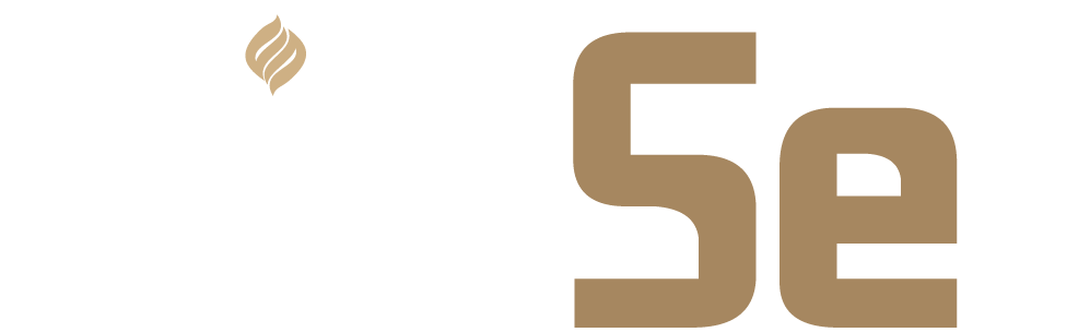菲趣FiltSe